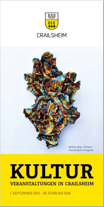 Titelbild Veranstaltungsflyer "Kultur. Veranstaltungen in Crailsheim" (Baumpilzbild zur Ausstellung Chitose)